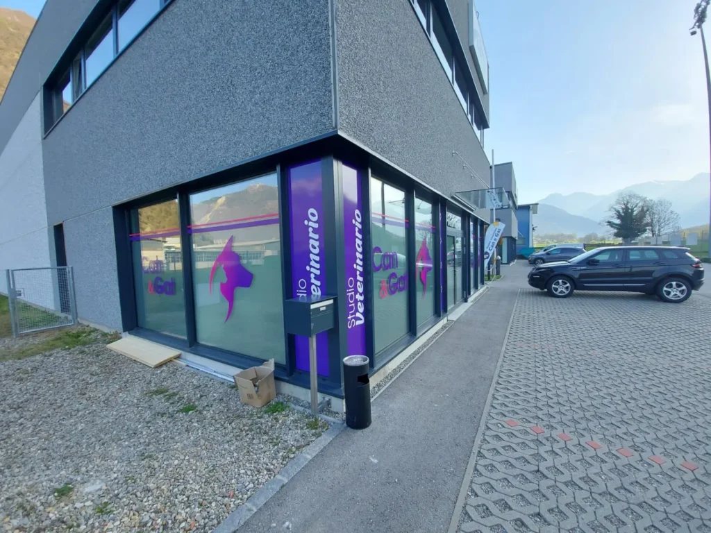 Vetrine Studio Veterinario Cani & Gatti